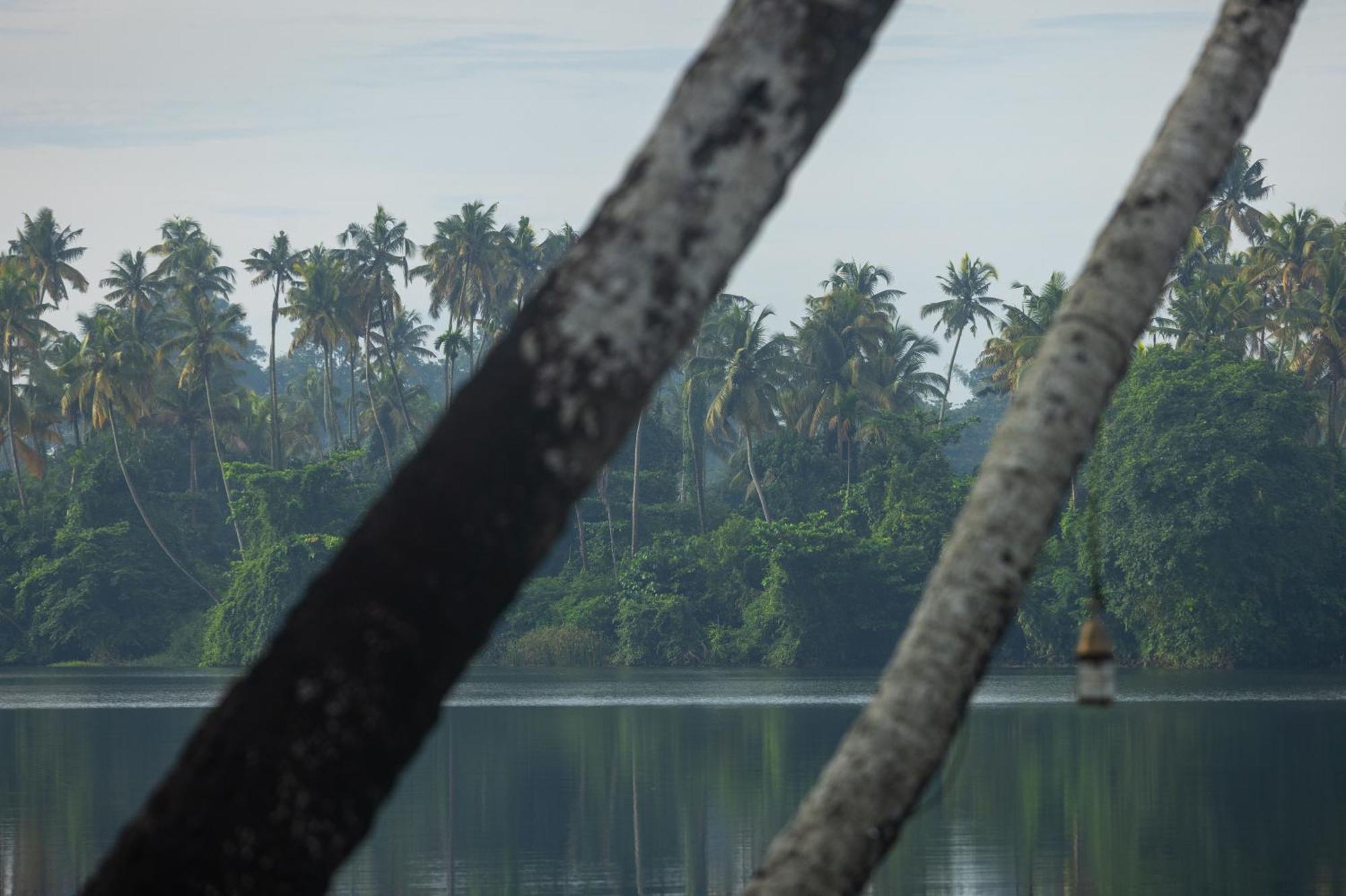 Cranganor History Cafe & Riverside Chateau North Paravur Kültér fotó