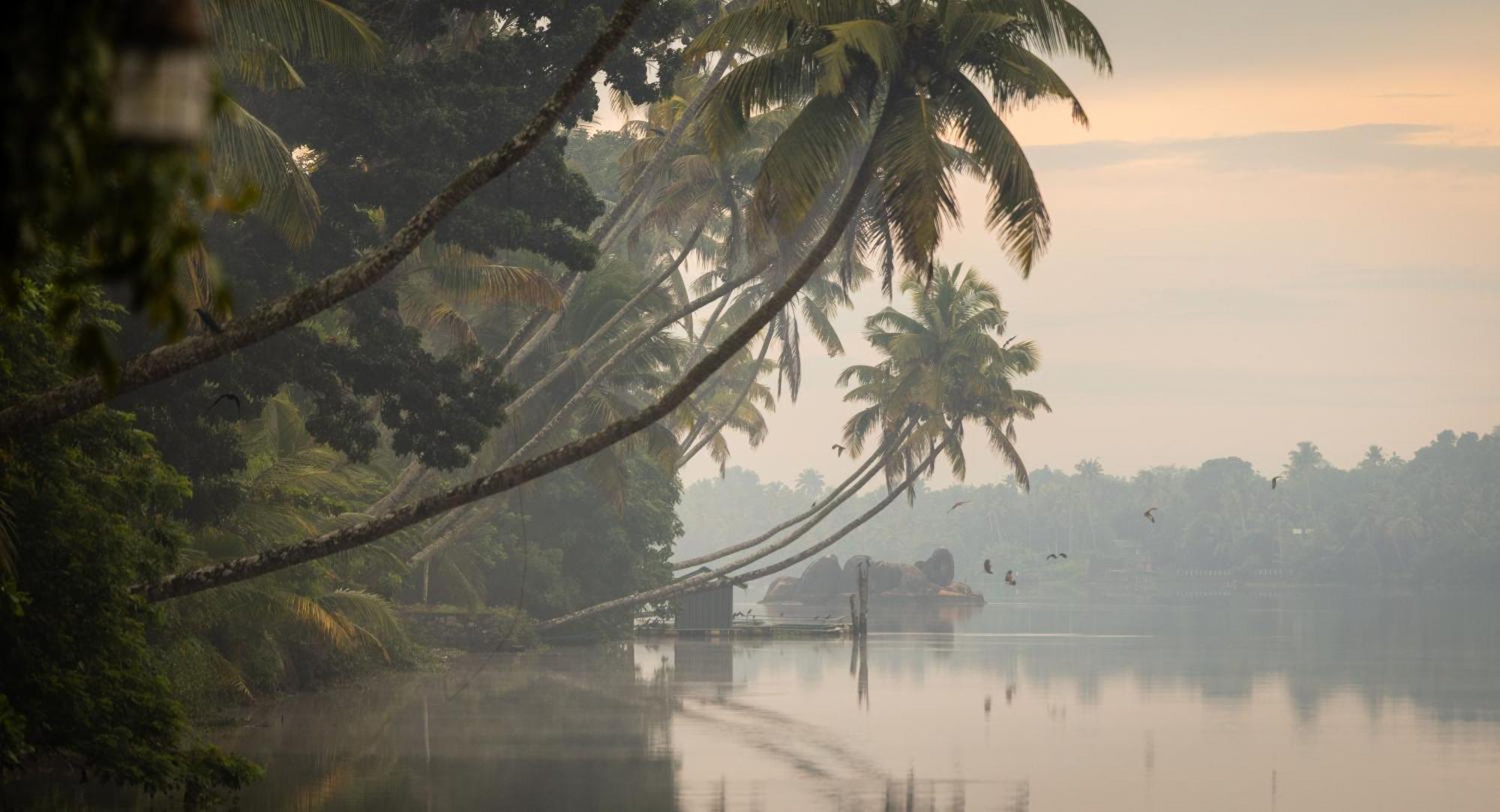 Cranganor History Cafe & Riverside Chateau North Paravur Kültér fotó